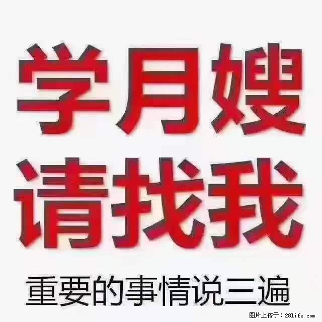 为什么要学习月嫂，育婴师？ - 其他广告 - 广告专区 - 萍乡分类信息 - 萍乡28生活网 px.28life.net