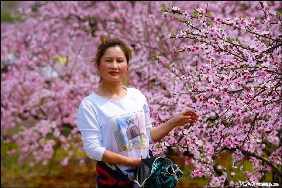 【春天，广西桂林灌阳县向您发出邀请！】官庄村有个醉美的桃花园 - 游山玩水 - 萍乡生活社区 - 萍乡28生活网 px.28life.net