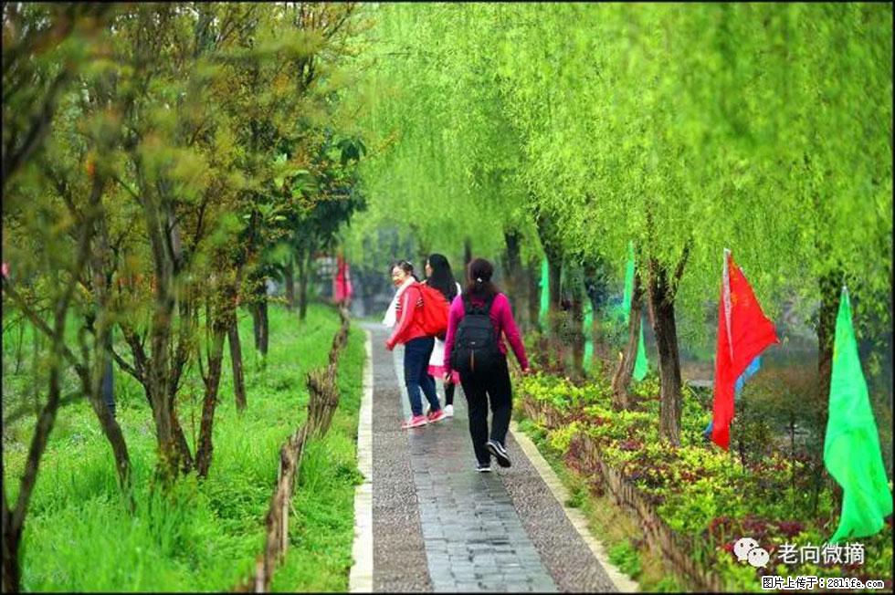 【春天，广西桂林灌阳县向您发出邀请！】江口老街又逢春 - 游山玩水 - 萍乡生活社区 - 萍乡28生活网 px.28life.net