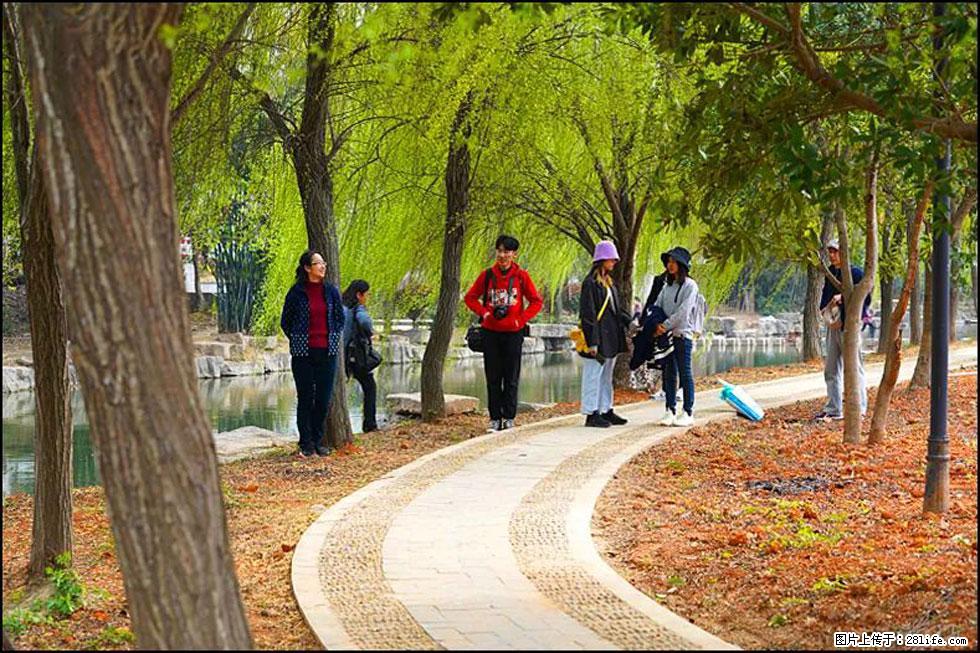 【春天，广西桂林灌阳县向您发出邀请！】江口老街又逢春 - 游山玩水 - 萍乡生活社区 - 萍乡28生活网 px.28life.net