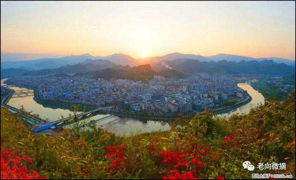 【春天，广西桂林灌阳县向您发出邀请！】登麒麟山，相约映山红 - 游山玩水 - 萍乡生活社区 - 萍乡28生活网 px.28life.net