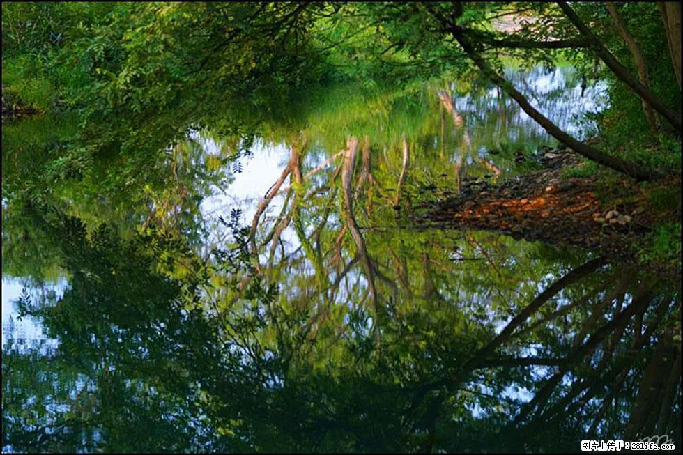 【春天，广西桂林灌阳县向您发出邀请！】熊家寨湿地公园 - 游山玩水 - 萍乡生活社区 - 萍乡28生活网 px.28life.net