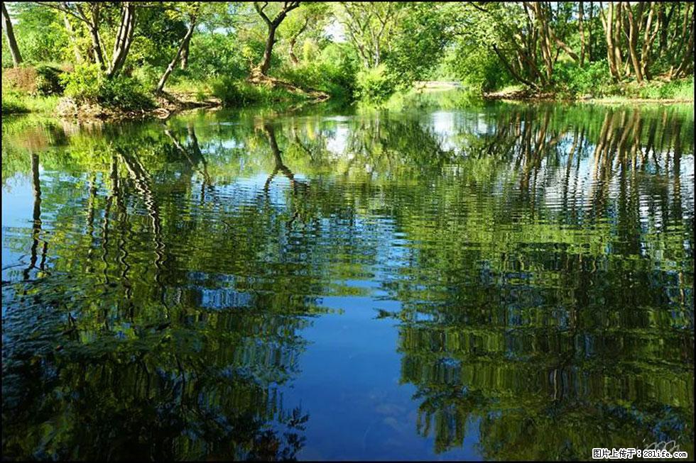 【春天，广西桂林灌阳县向您发出邀请！】熊家寨湿地公园 - 游山玩水 - 萍乡生活社区 - 萍乡28生活网 px.28life.net