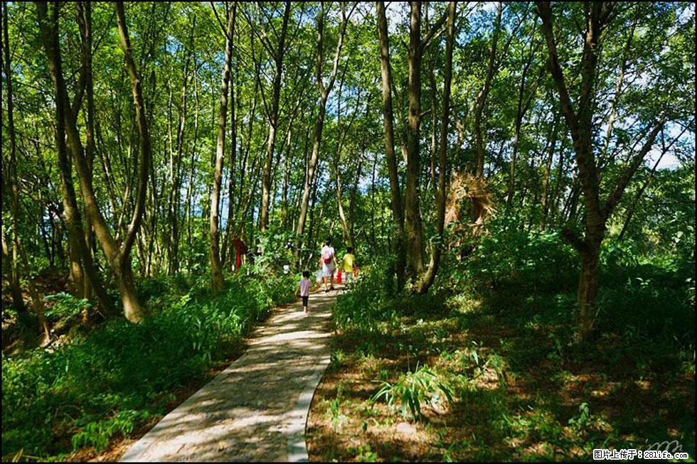 【春天，广西桂林灌阳县向您发出邀请！】熊家寨湿地公园 - 游山玩水 - 萍乡生活社区 - 萍乡28生活网 px.28life.net