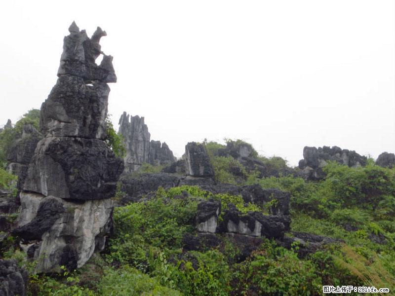 桂林旅游名城景点：灌阳文市石林 - 游山玩水 - 萍乡生活社区 - 萍乡28生活网 px.28life.net