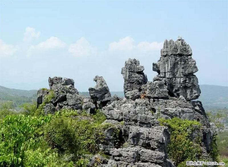 桂林旅游名城景点：灌阳文市石林 - 游山玩水 - 萍乡生活社区 - 萍乡28生活网 px.28life.net