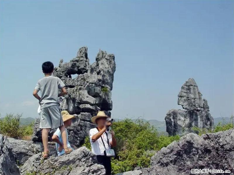 桂林旅游名城景点：灌阳文市石林 - 游山玩水 - 萍乡生活社区 - 萍乡28生活网 px.28life.net