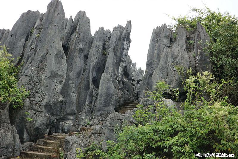 桂林旅游名城景点：灌阳文市石林 - 游山玩水 - 萍乡生活社区 - 萍乡28生活网 px.28life.net