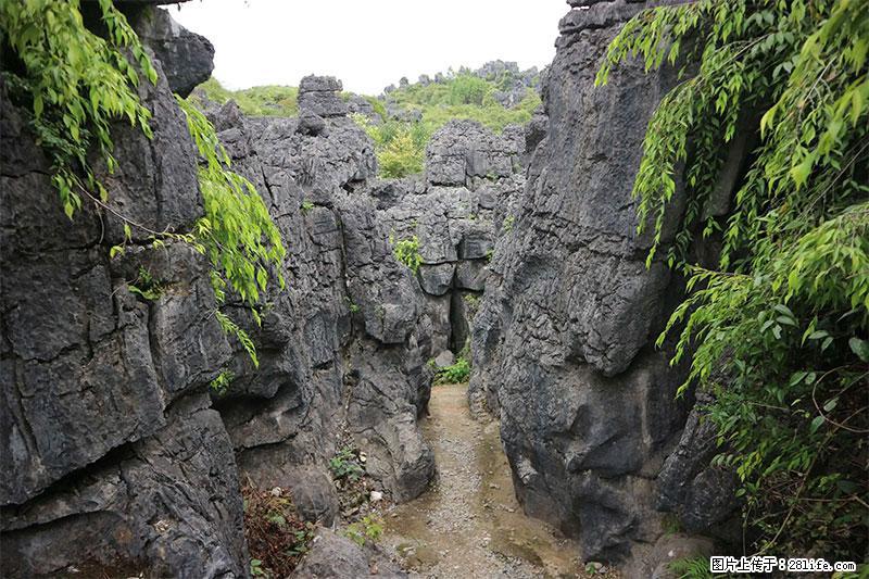 桂林旅游名城景点：灌阳文市石林 - 游山玩水 - 萍乡生活社区 - 萍乡28生活网 px.28life.net