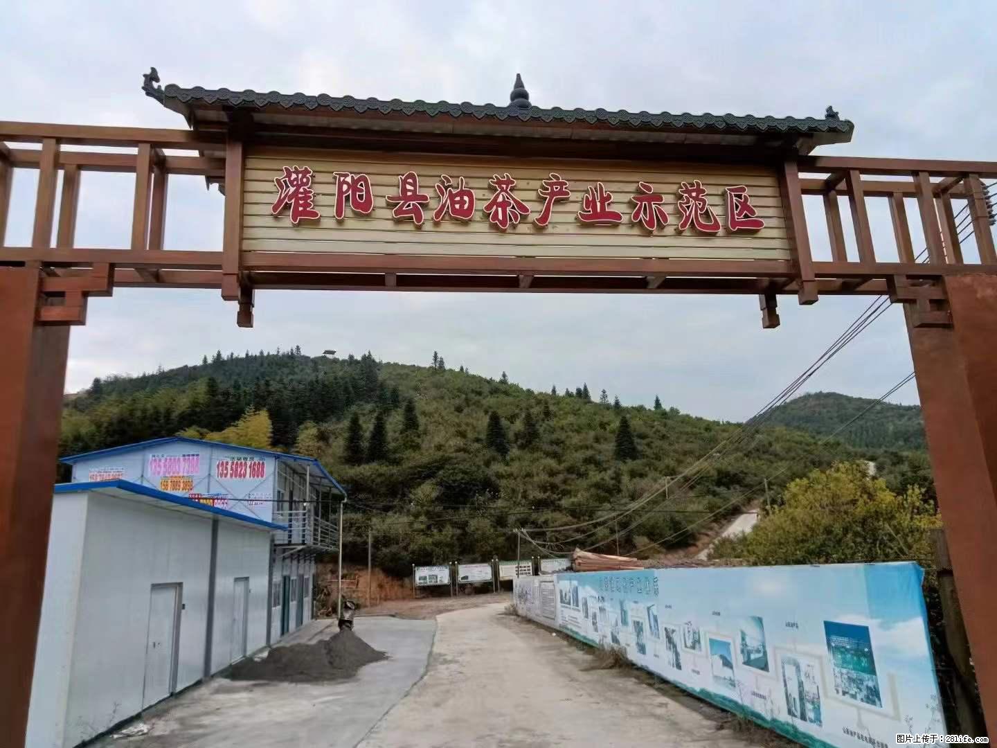 【灌阳县油茶产业示范区】一个有着充实的精神生活的人，对待身外之物自会有一种淡泊的态度 - 美食天地 - 萍乡生活社区 - 萍乡28生活网 px.28life.net