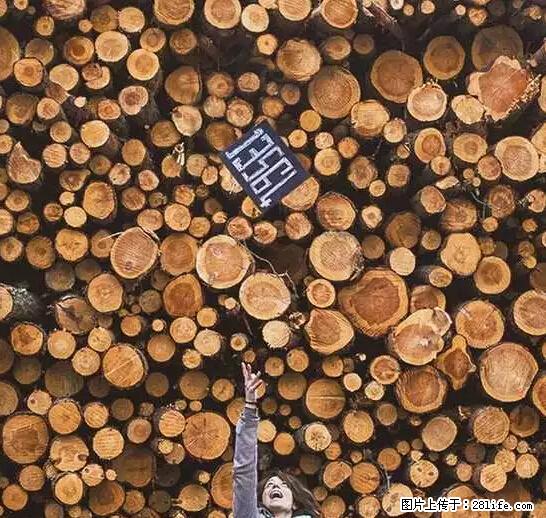 辞掉工作周游世界？现在他们在洗厕所…… - 游山玩水 - 萍乡生活社区 - 萍乡28生活网 px.28life.net