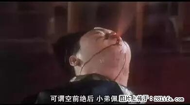 笑癫了！一女的怀孕三年未生，他终于忍不住了... - 娱乐八卦 - 萍乡生活社区 - 萍乡28生活网 px.28life.net