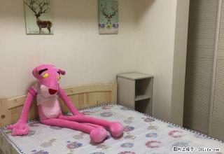 苏河尚品 萍乡北院附近 两室两厅 精装修 家私齐全 拎包入住 - 萍乡28生活网 px.28life.net