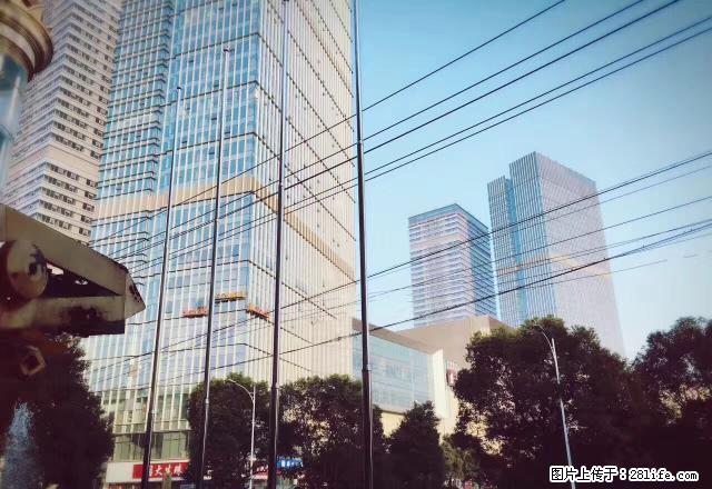 市中心秋收广场旁，润达国际16楼出租，家电家具房东可置配齐全 - 房屋出租 - 房屋租售 - 萍乡分类信息 - 萍乡28生活网 px.28life.net