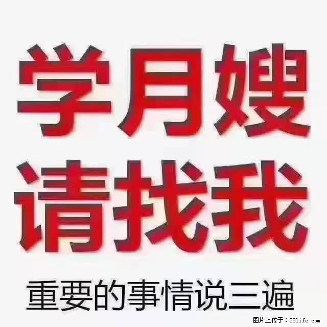 【招聘】月嫂，上海徐汇区 - 职场交流 - 萍乡生活社区 - 萍乡28生活网 px.28life.net