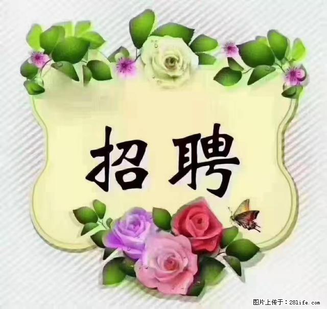 【招聘】住家育儿嫂，上户日期：4月4日，工作地址：上海 黄浦区 - 职场交流 - 萍乡生活社区 - 萍乡28生活网 px.28life.net