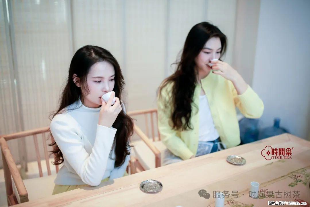 时间果百年古树龙珠普洱生茶 - 购物交流 - 萍乡生活社区 - 萍乡28生活网 px.28life.net