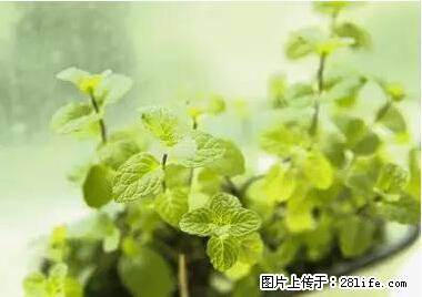 晕车、脚气、牙齿变黄、皮肤粗糙？学会这些三分钟搞定！ - 萍乡生活资讯 - 萍乡28生活网 px.28life.net