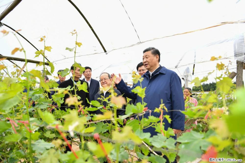 习近平赴广西考察调研 - 萍乡生活资讯 - 萍乡28生活网 px.28life.net