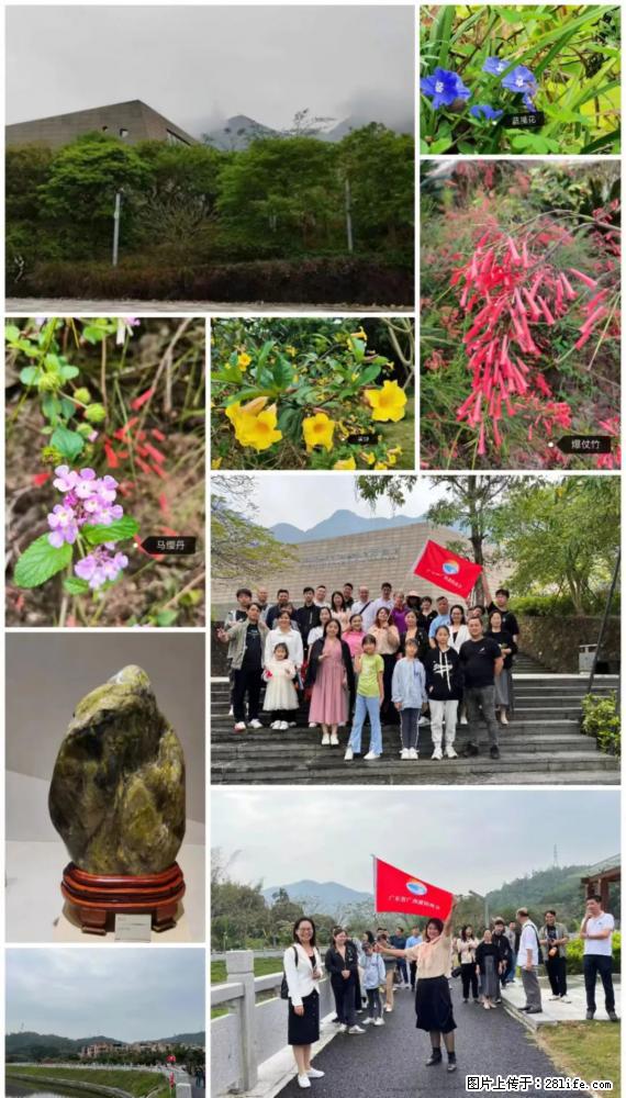“粤灌文化 美好生活”油茶文化主题活动在广东深圳成功举办 - 萍乡生活资讯 - 萍乡28生活网 px.28life.net