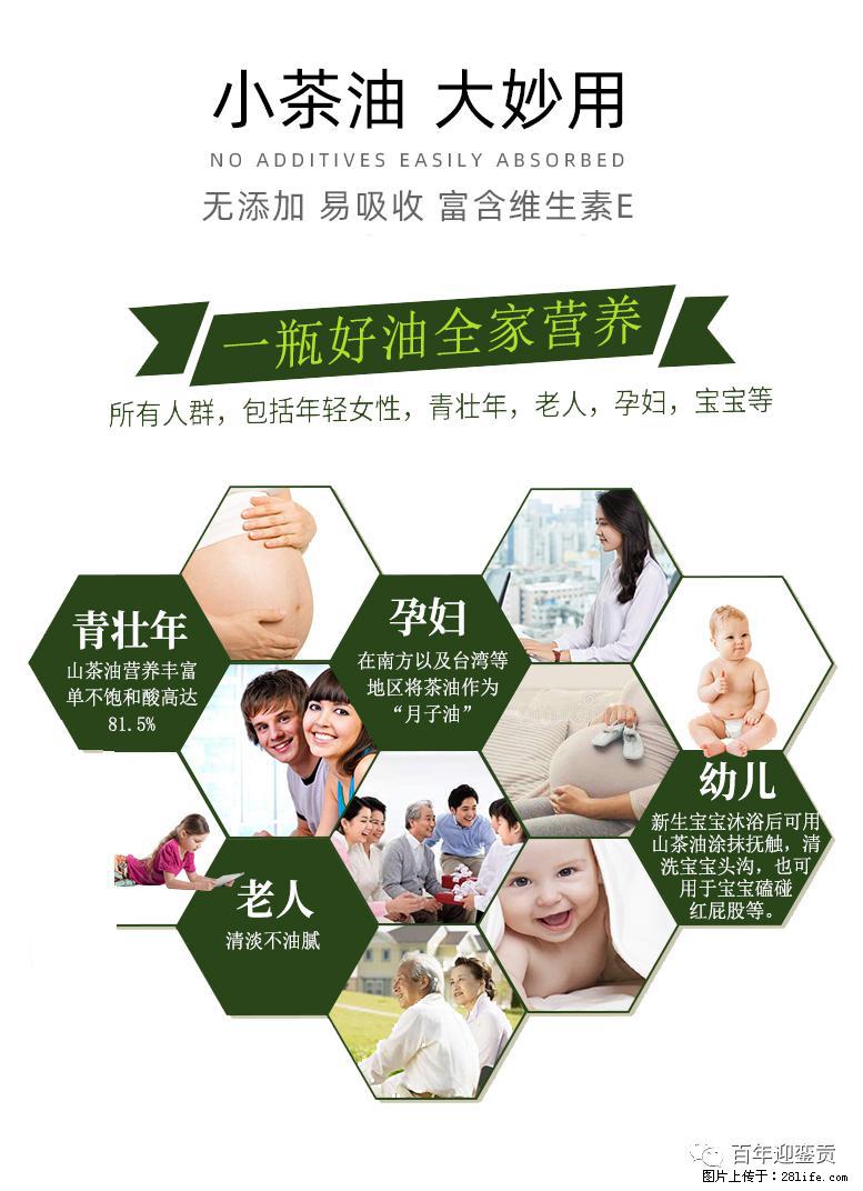 世界没有真相，只有认知，最好的食用油是中国的山茶油！ - 萍乡生活资讯 - 萍乡28生活网 px.28life.net
