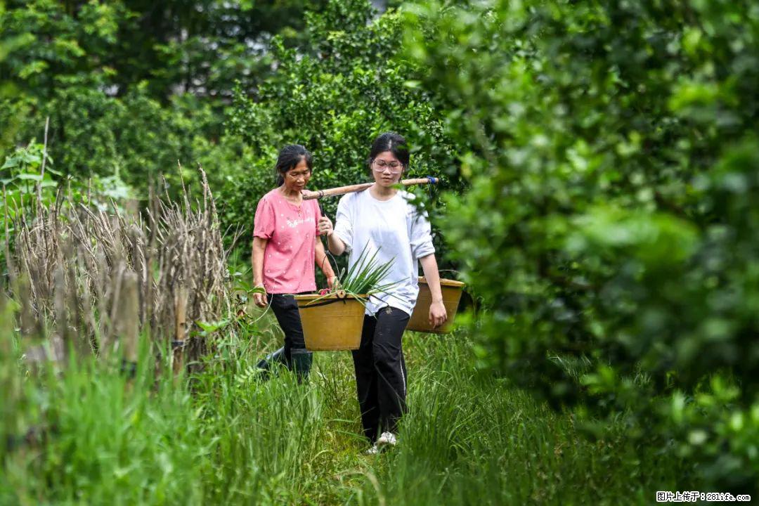 全网追的“扁担女孩”，找了一份暑假工，时薪12元 - 萍乡生活资讯 - 萍乡28生活网 px.28life.net