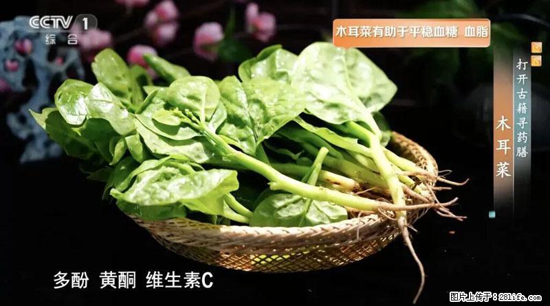比牛奶补钙还厉害！凉血解毒、稳血糖...这菜冬天必吃，很多人却当草 - 萍乡生活资讯 - 萍乡28生活网 px.28life.net